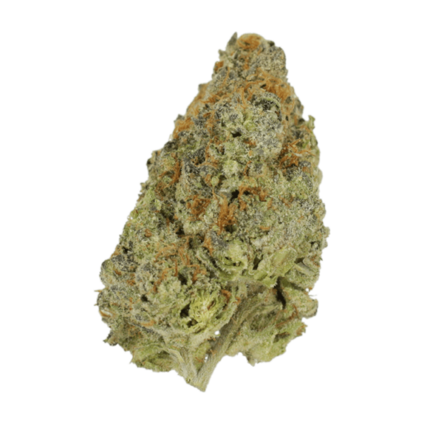Lilac Diesel | MMJ Express Canada