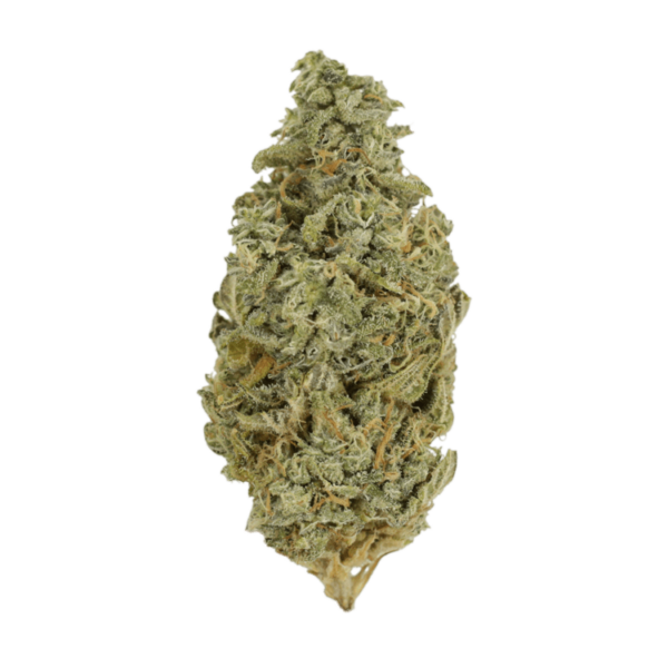 Orange Cookies | MMJ Express Canada