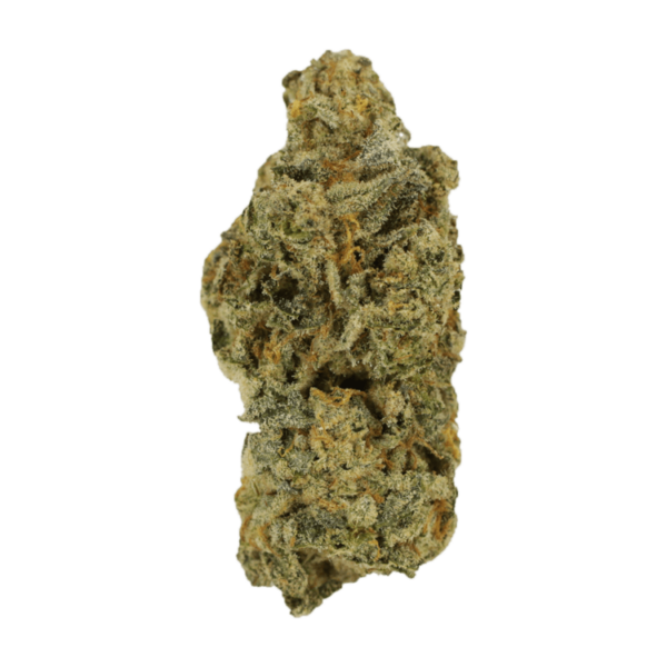 Cinderella 99 | MMJ Express Canada