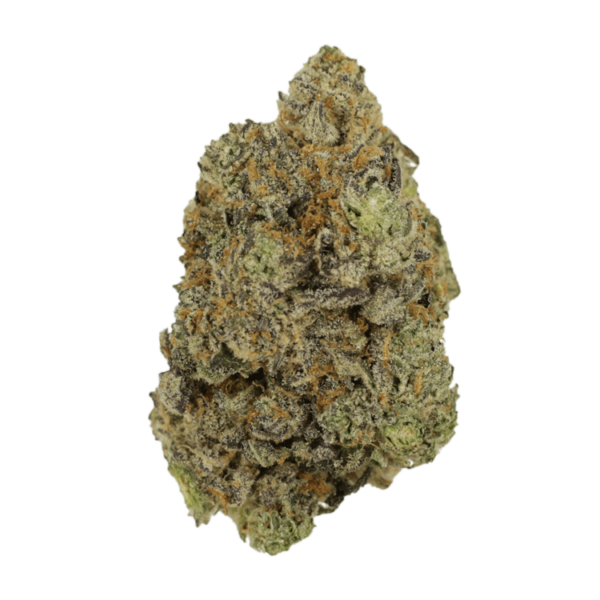 Hash Plant | MMJ Express Canada