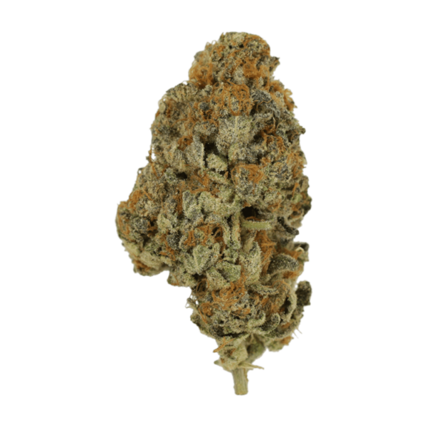 Key Lime Pie | MMJ Express Canada