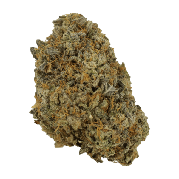 Sherb Quake | MMJ Express Canada
