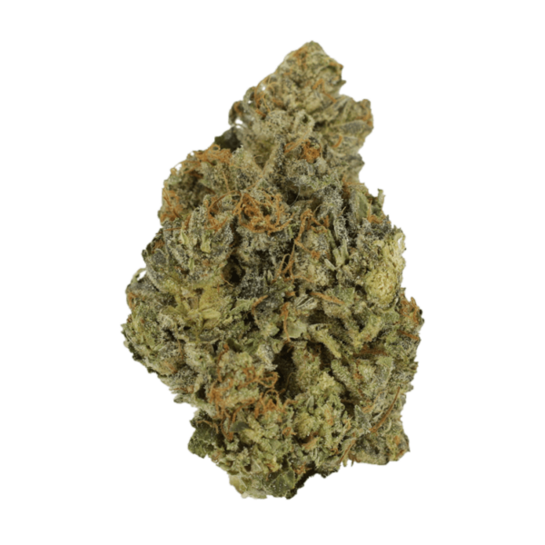 Lady Bird | MMJ Express Canada