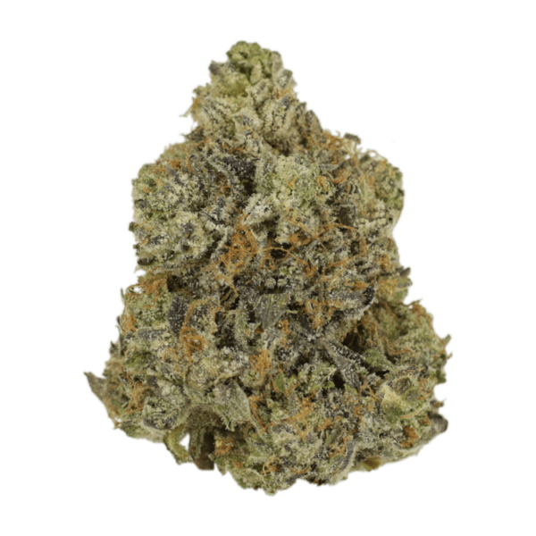 Rockstar | MMJ Express Canada