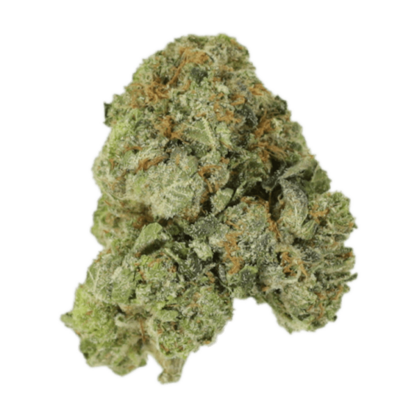 White Russian | MMJ Express Canada
