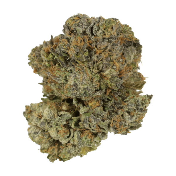 Chocolate Mint | MMJ Express Canada