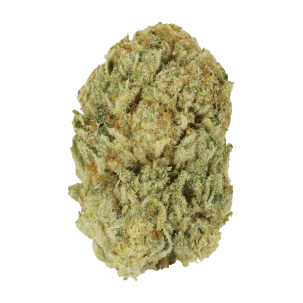 Trap Star | MMJ Express Canada