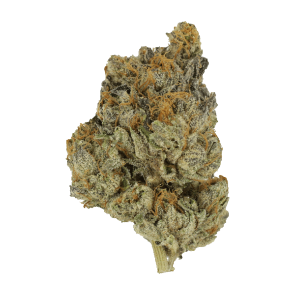 Divorce Cake | MMJ Express Canada