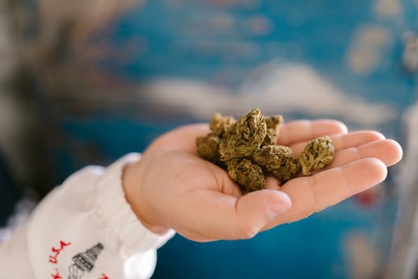 Buy cannabis Online Nunavut | MMJ Express Canada | MMJ Express Canada