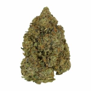 Love Affair | MMJ Express Canada