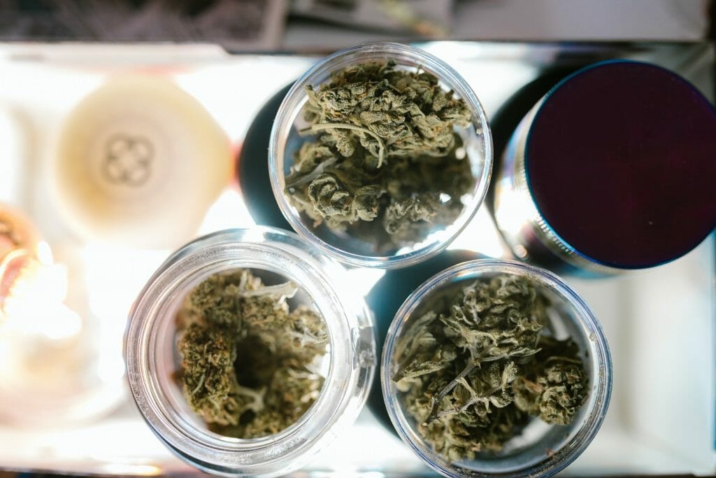 Best cannabis in Canada: Finding the Premium Hybrid Strains | MMJ Express Canada | MMJ Express Canada