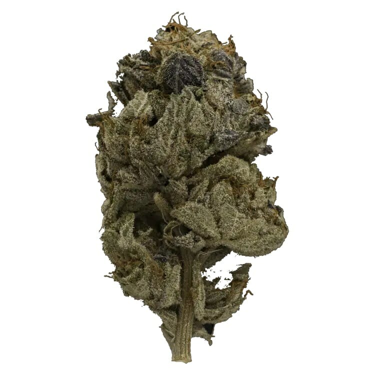 Enjoy the Heavy Indica Effects of Pink Gas Mask Strain | MMJ Express Canada | MMJ Express Canada