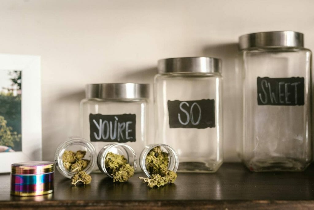 Beyond the Bud: The Role of a cannabis Dispensary in Promoting Wellness | MMJ Express Canada | MMJ Express Canada