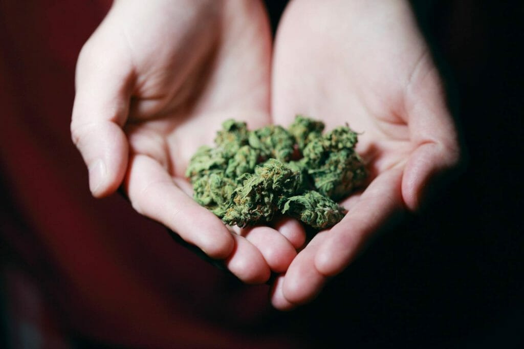 Elevate Your High With The Best Ontario cannabis Strains | MMJ Express Canada | MMJ Express Canada