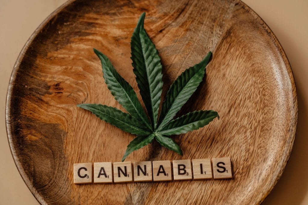 Beyond the Bud: The Role of a cannabis Dispensary in Promoting Wellness | MMJ Express Canada | MMJ Express Canada