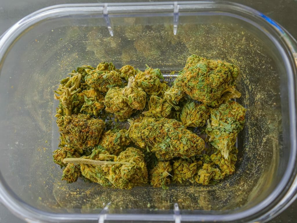 Best cannabis in Canada: Finding the Premium Hybrid Strains | MMJ Express Canada | MMJ Express Canada