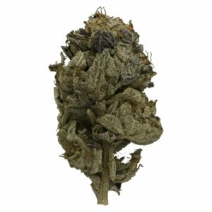 MMJ Express Canada - Pink Gas Strain | MMJ Express Canada