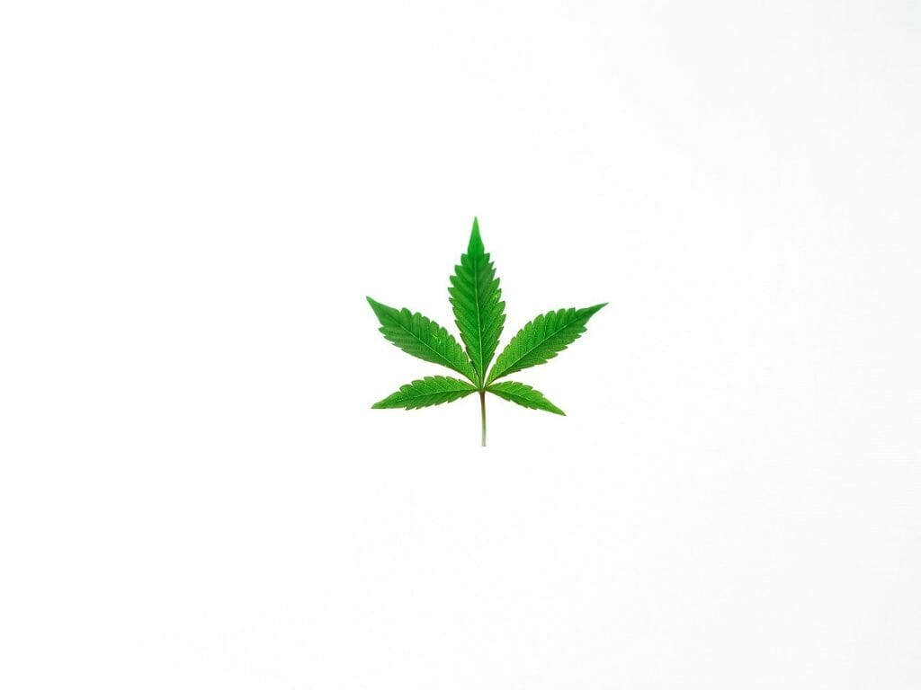 Benefits of Shopping in a BC cannabis Online Dispensary | MMJ Express Canada