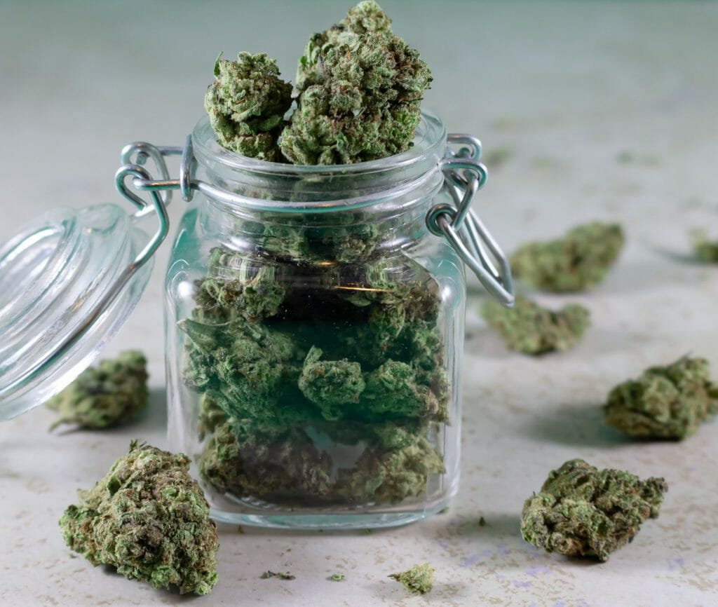 Bulk Weed: Unlocking the Power of Wholesale Cannabis | MMJ Express Canada | MMJ Express Canada