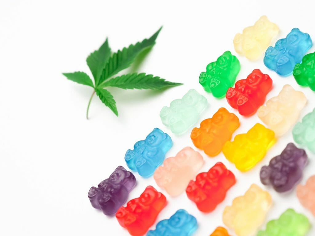 Edible Delights: A Guide to the Most Delicious cannabis in Edmonton | MMJ Express Canada | MMJ Express Canada