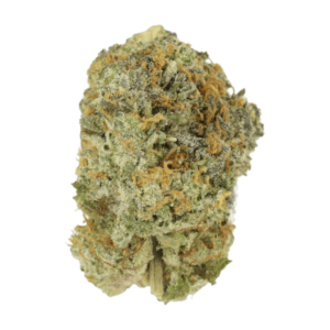 Slurricane | MMJ Express Canada