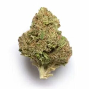 Supersonic | MMJ Express Canada