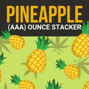 Pineapple 1 OZ Kit | MMJ Express Canada